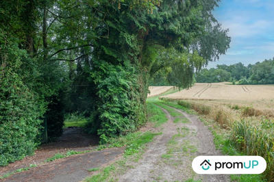 Terrain de loisirs - 6 460 m²