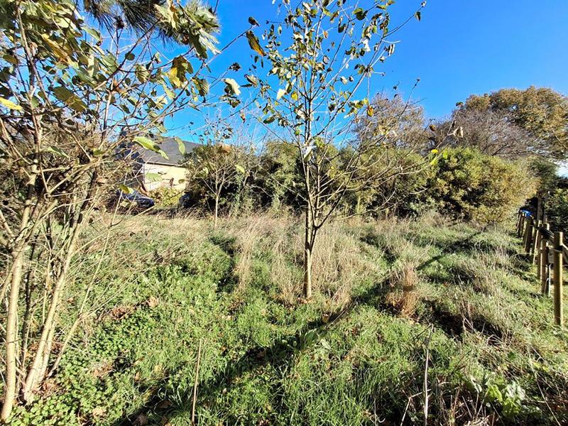 Maison - 110 m² - 1 pièce