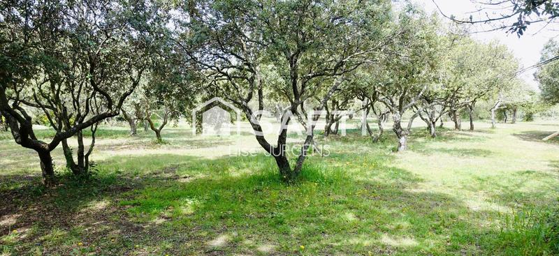 Maison - 270 m² - 9 pièces