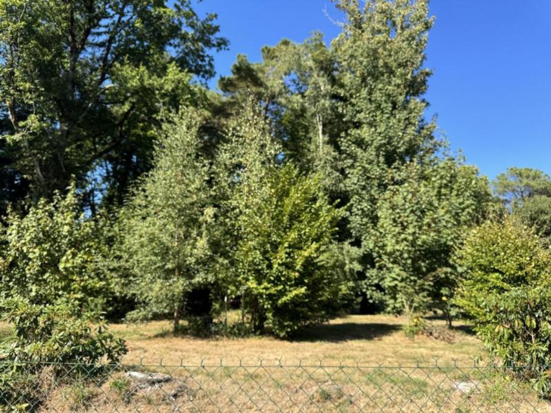 Terrain constructible - 800 m²