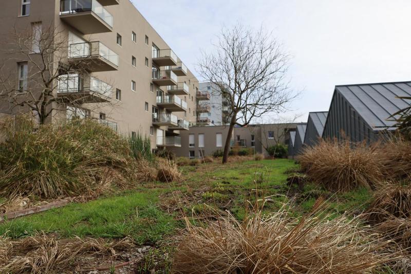 Appartement - 36 m² - 2 pièces