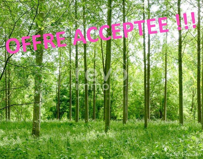 Terrain - 10 254 m²