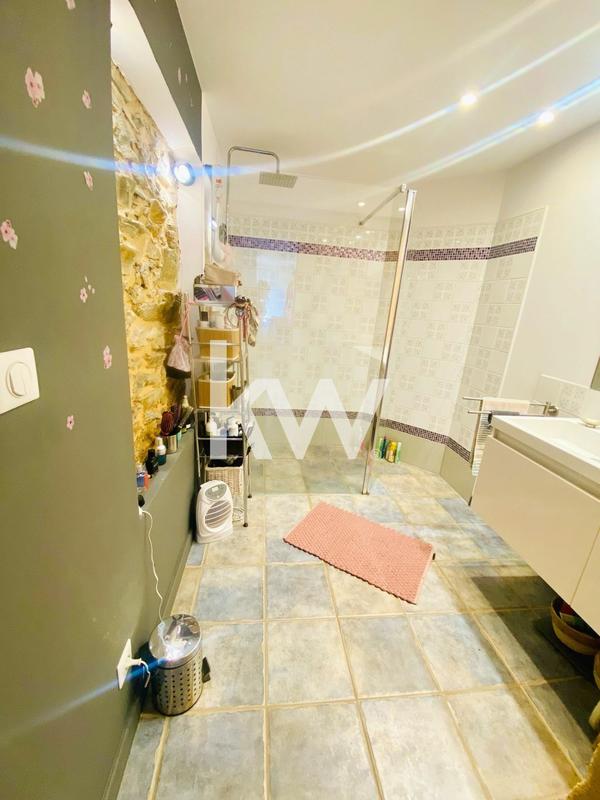 Maison - 450 m² - 15 pièces