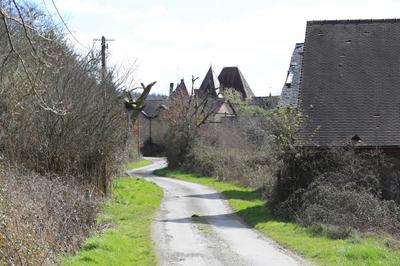 Château - 1 500 m² - 40 pièces