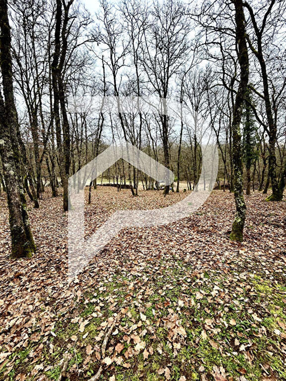 Châlet - 74 m² - 3 pièces