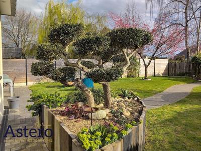 Maison - 146 m² - 6 pièces