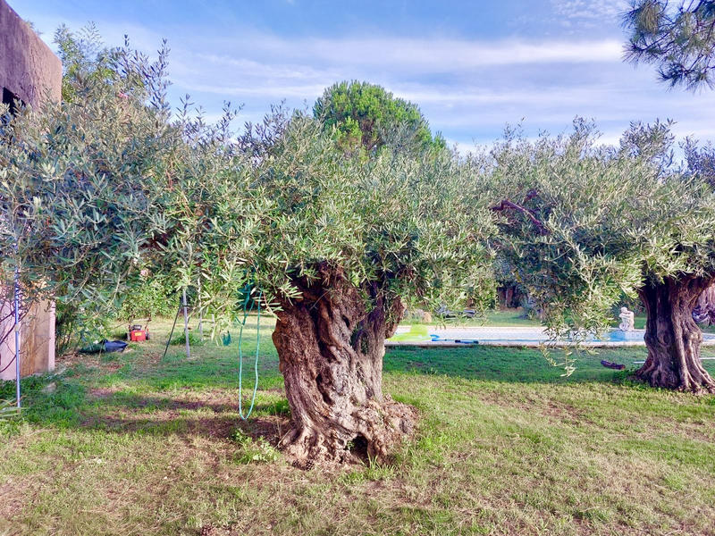 Maison - 70 m² - 1 pièce