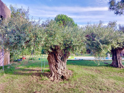 Maison - 70 m² - 1 pièce