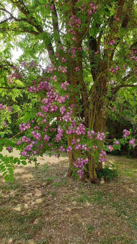 Villa - 159 m² - 7 pièces