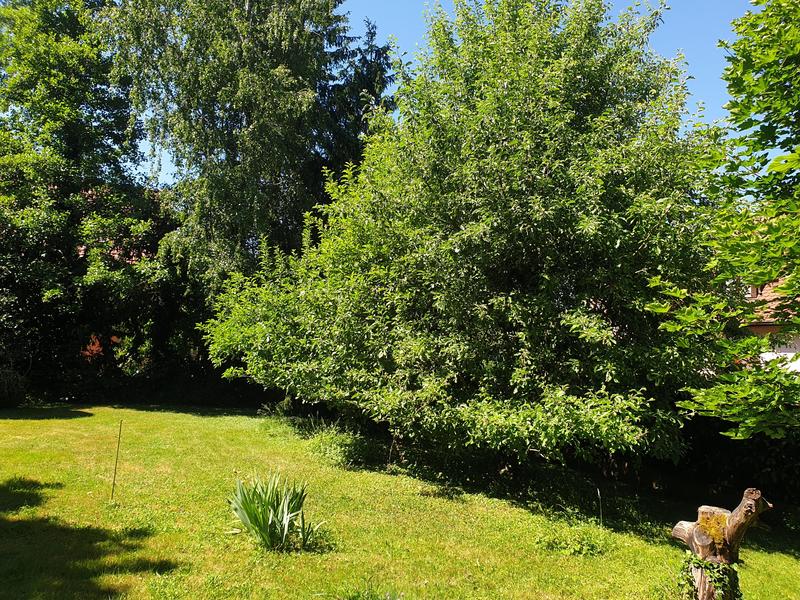 Maison - 293 m² - 9 pièces