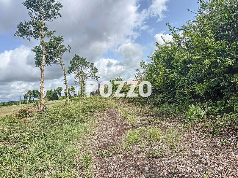 Local d'activité / Entrepôt - 380 m²