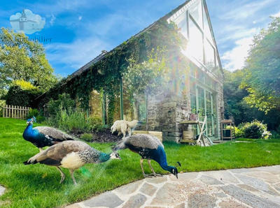 Maison - 239 m² - 16 pièces