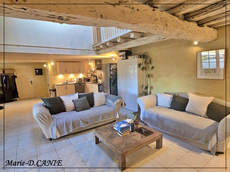 Maison - 480 m² - 10 pièces