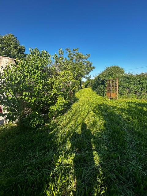 Maison - 308 m² - 13 pièces