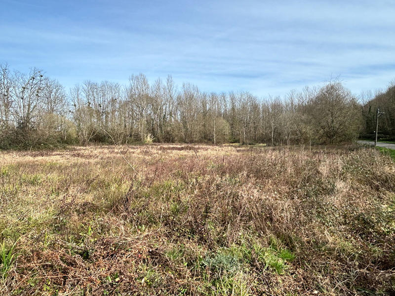 Terrain - 17 198 m²