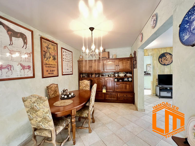 Viager - Mas - 207 m² - 6 pièces