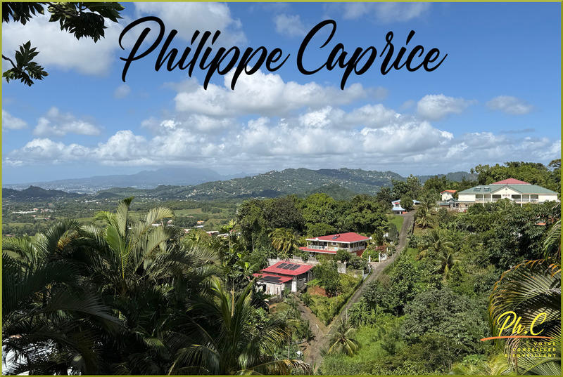 Maison - 366 m² - 8 pièces