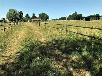 Maison - 250 m² - 7 pièces