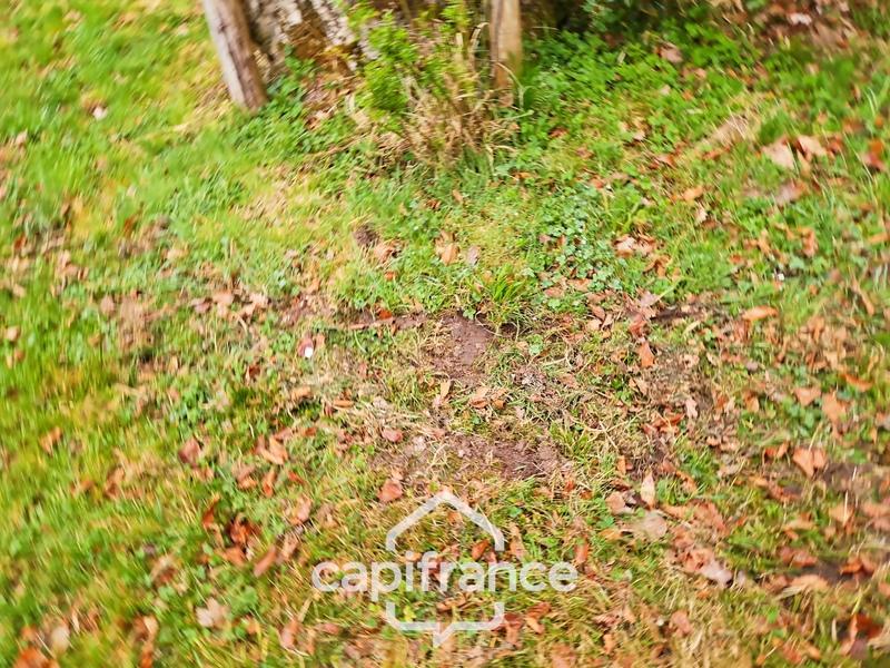 Terrain de loisirs - 96 594 m²