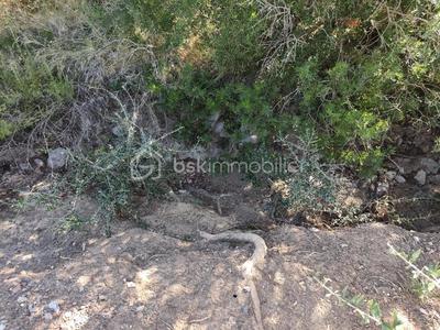 Terrain agricole - 2 420 m²