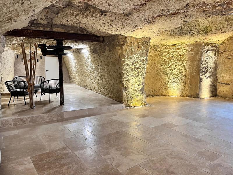 Hôtel particulier - 277 m² - 7 pièces