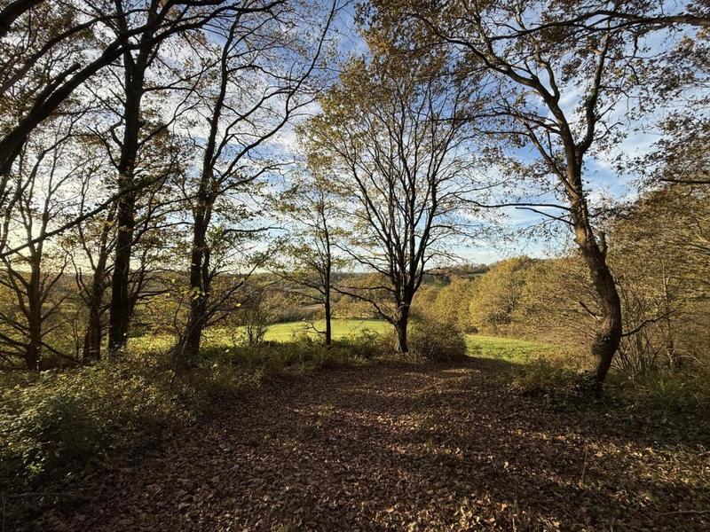 Terrain - 15 500 m²