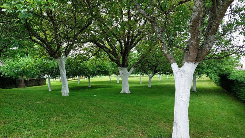 Maison - 154 m² - 6 pièces