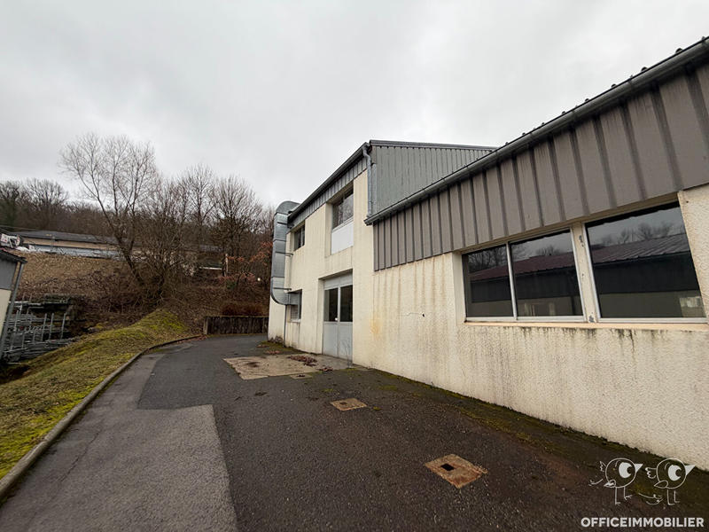 Local d'activité / Entrepôt - 775 m²