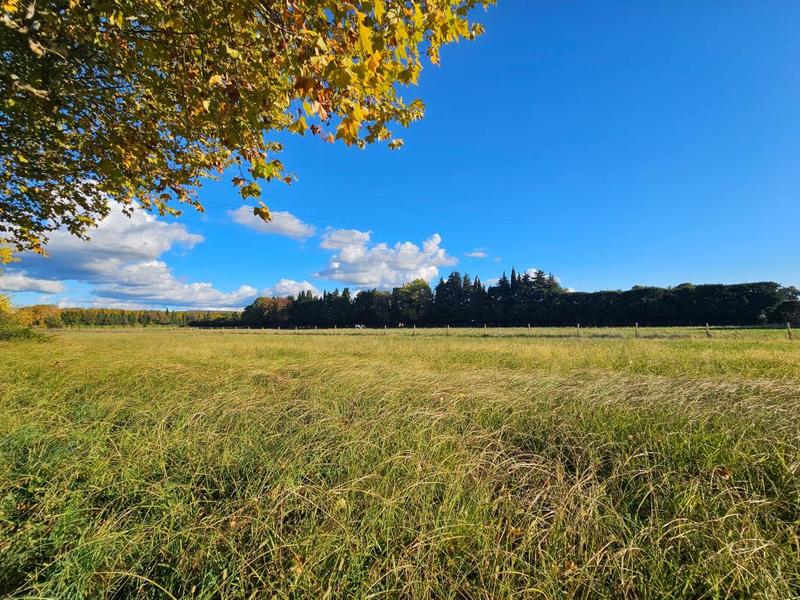 Mas - 272 m² - 8 pièces