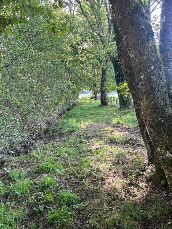 Propriété - 8 200 m² - 1 pièce