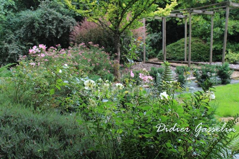 Maison - 351 m² - 10 pièces