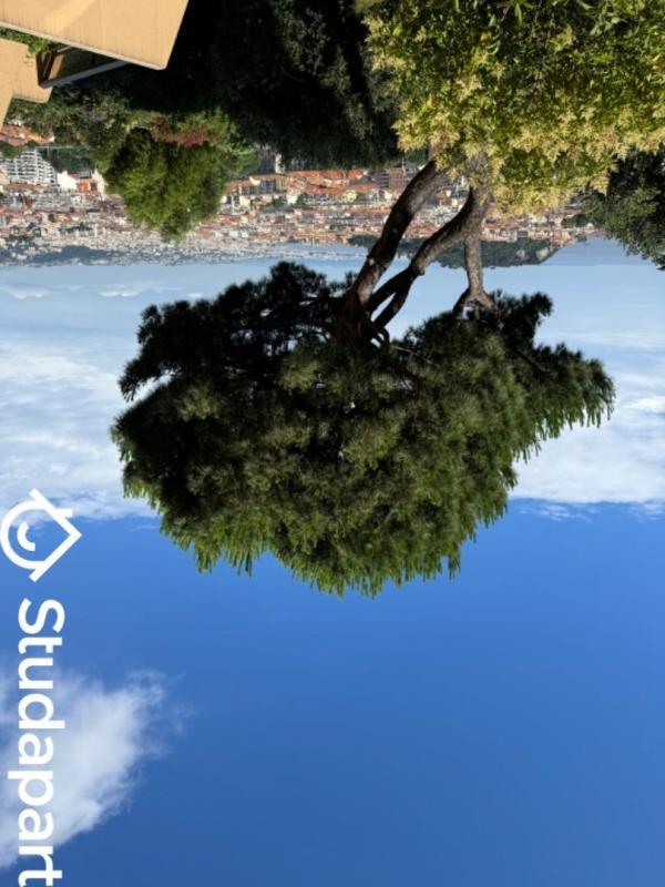 Appartement - 23 m² - 1 pièce