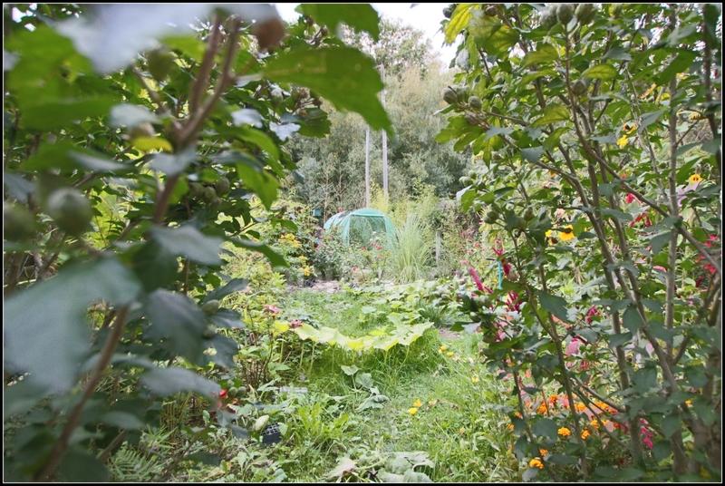 Maison - 70 m² - 4 pièces