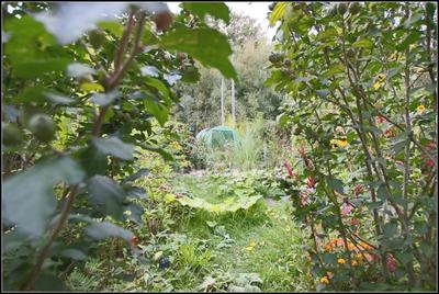 Maison - 70 m² - 4 pièces