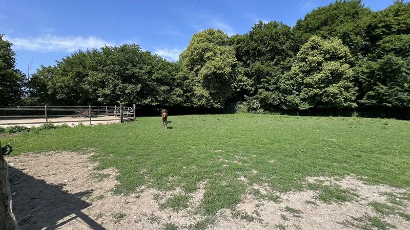 Ferme - 183 m² - 8 pièces