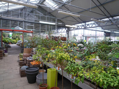 Local commercial - 1 022 m² - 7 pièces