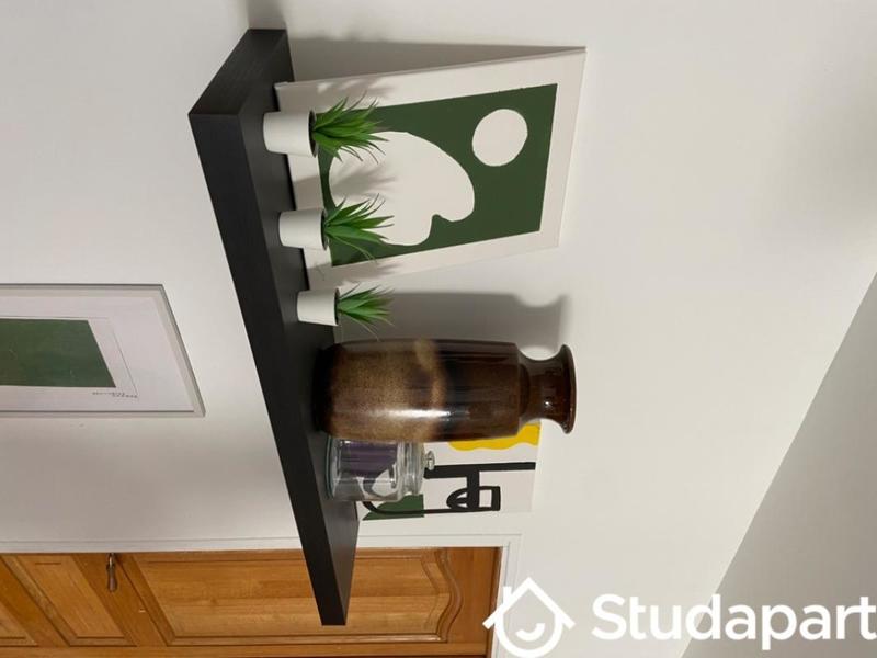 Chambre - 18 m² - 1 pièce