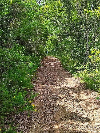 Terrain - 10 060 m²