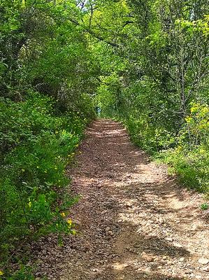 Terrain - 10 060 m²