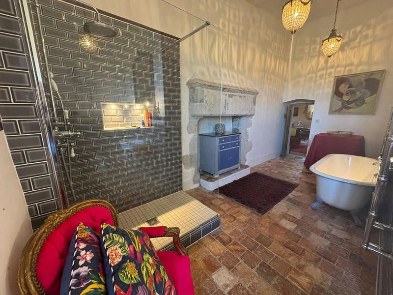 Château - 197 m² - 11 pièces