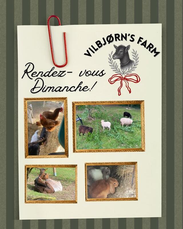 Brocante de noël en soutien à une association de protection animale