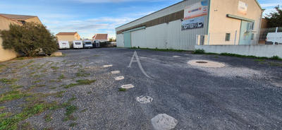 Local d'activité / Entrepôt - 550 m²