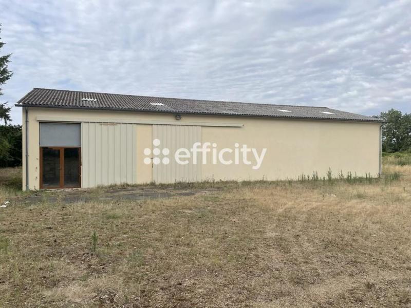 Bureau - 300 m² - 4 pièces