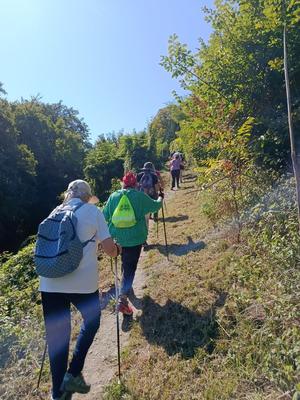 Decouverte Marche Nordique