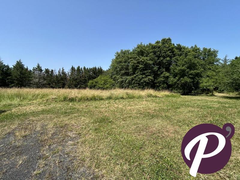 Maison ancienne - 237 m² - 7 pièces