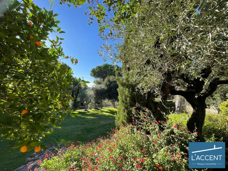 Maison - 375 m² - 15 pièces