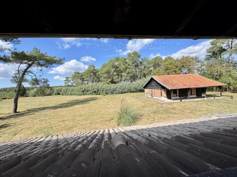 Propriété - 254 m² - 6 pièces