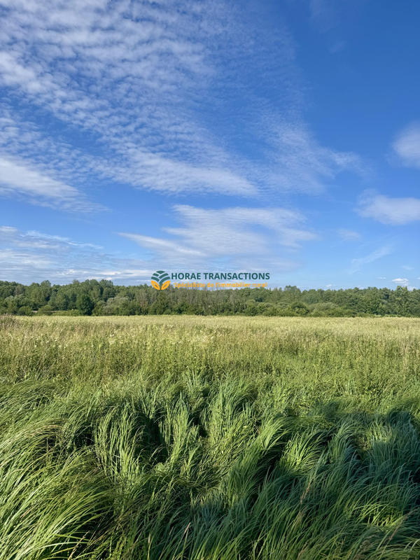 Maison - 250 m² - 8 pièces