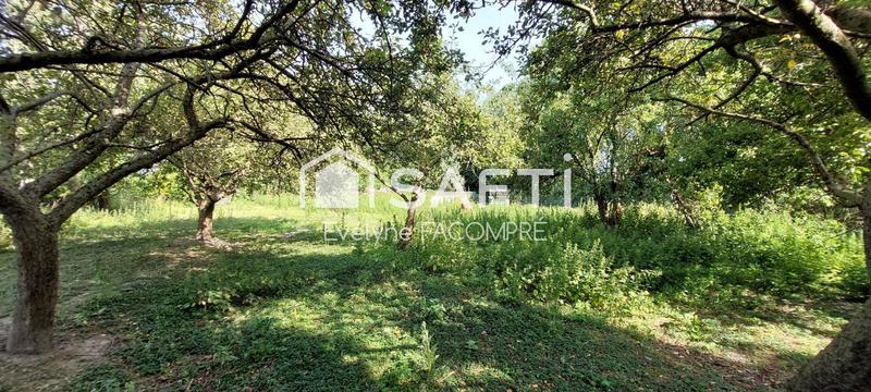 Terrain agricole - 6 393 m²