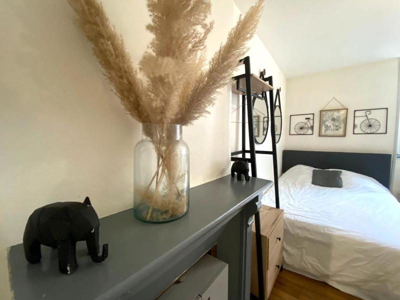 Appartement - 19 m² - 1 pièce